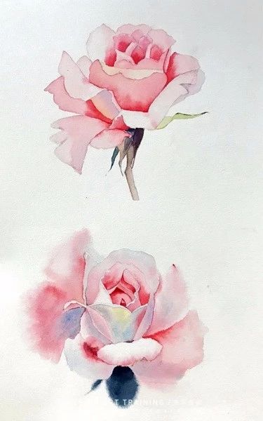 美深畫(huà)室