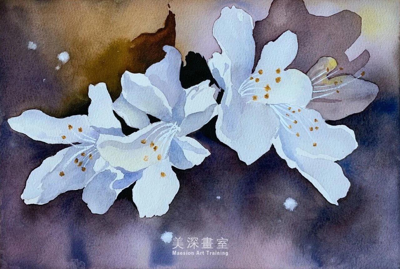 深圳學(xué)畫(huà)畫(huà)
