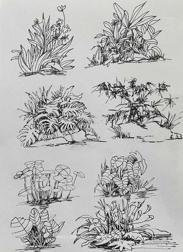 深圳美術(shù)培訓